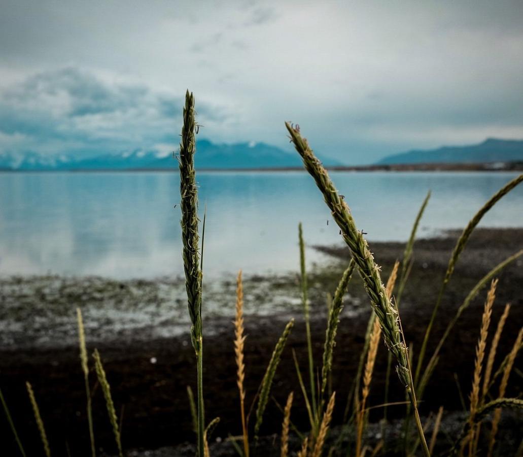 Hostal Boutique Factoria Patagonia Puerto Natales Ngoại thất bức ảnh